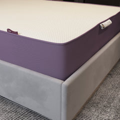 Karnak Plus Orthopedic Foam Mattress